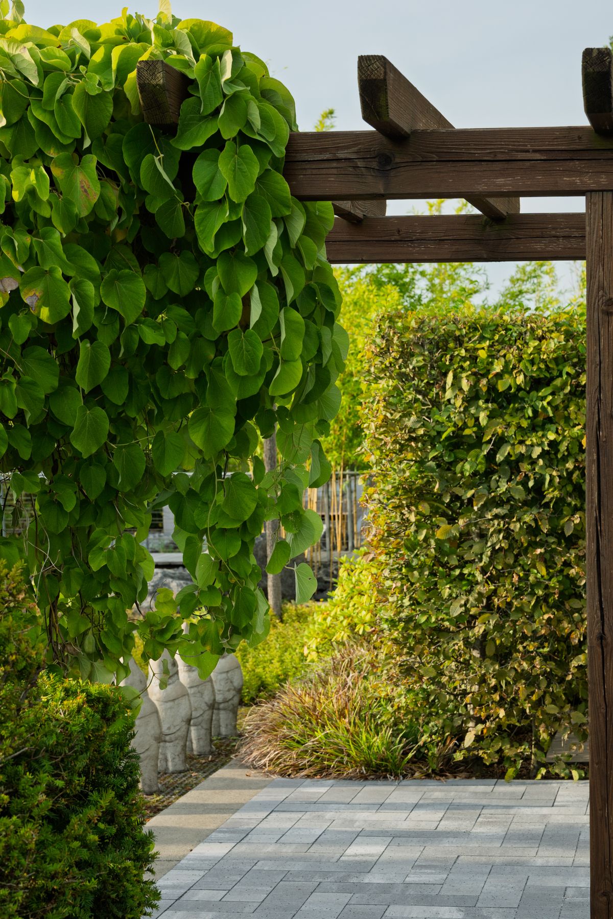 A landscaped garden with a timber pergola over block paving and mature planting
