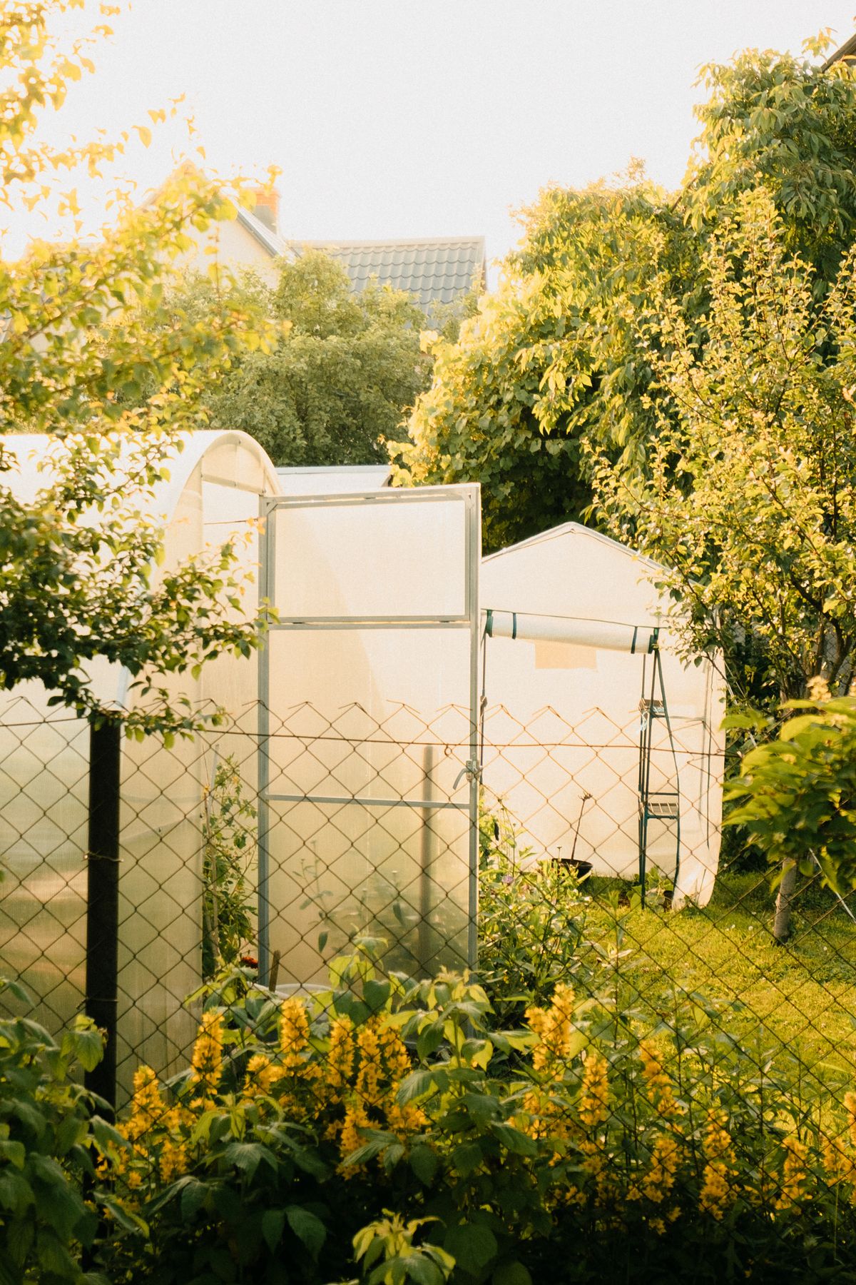 Greenhouses