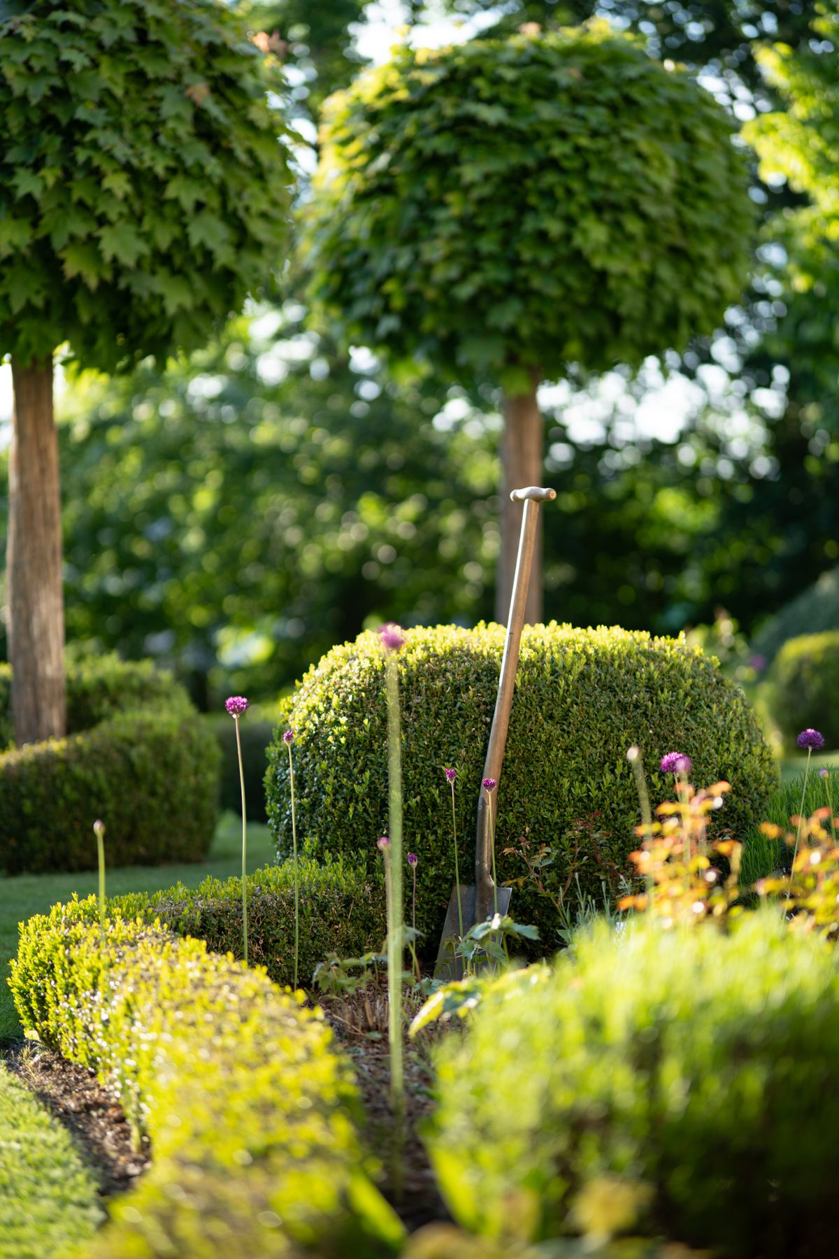 A clipped topiary garden with a spade set into a border — craft close up