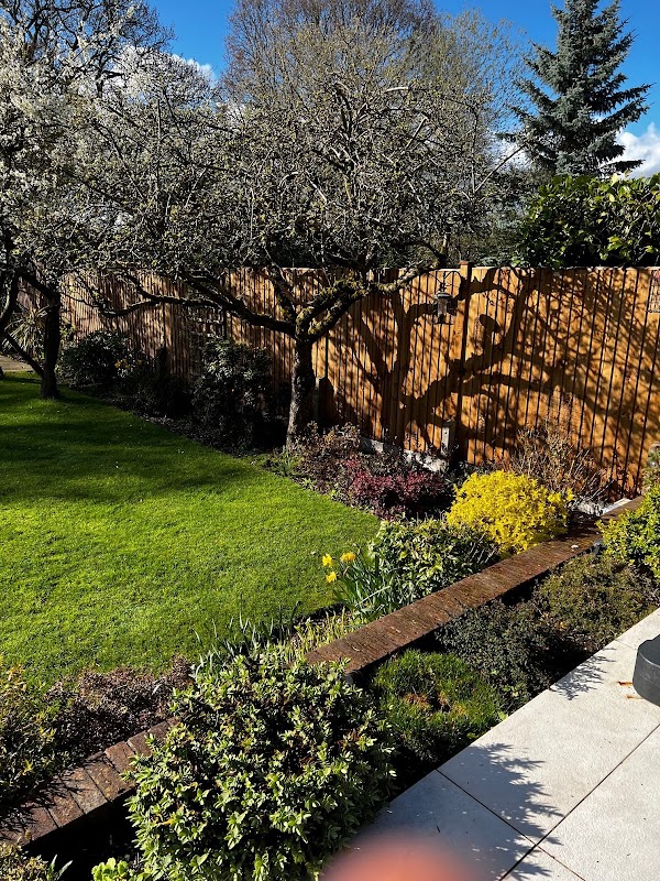 A run of new feather-edge fencing behind timber-sleeper raised beds planted up for spring — boundary, structure and planting renewed together.